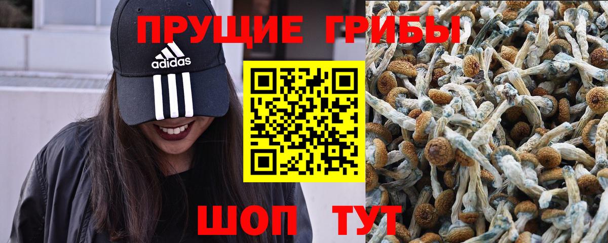Галлюциногенные грибы мухоморы Моздок