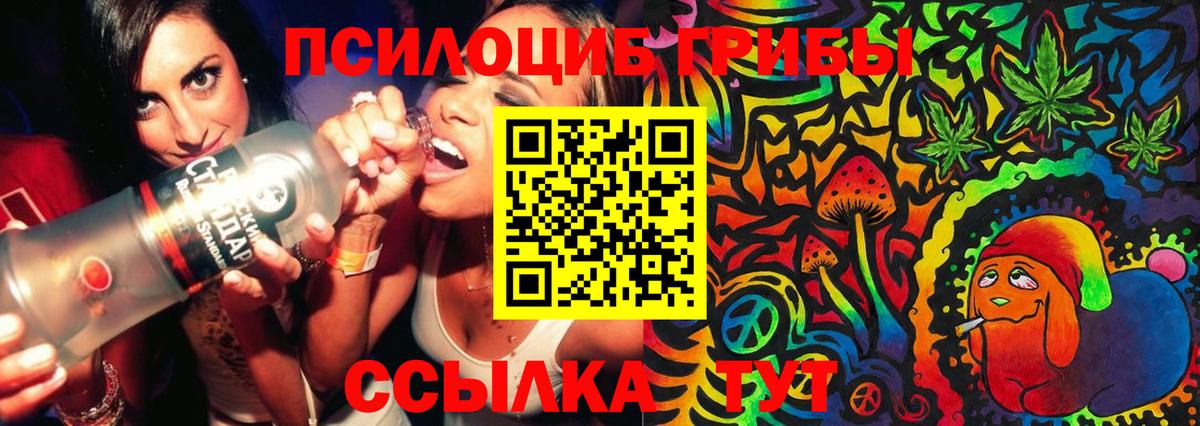 Моздок  Галлюциногенные грибы прущие грибы  Галлюциногенные грибы мухоморы  Вход с VPN 